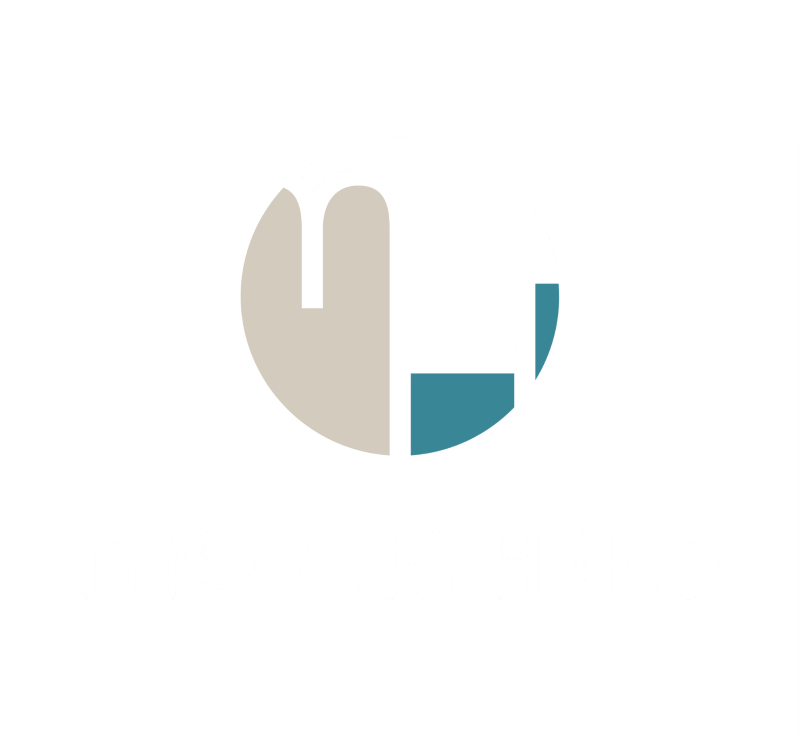Meraki Halo